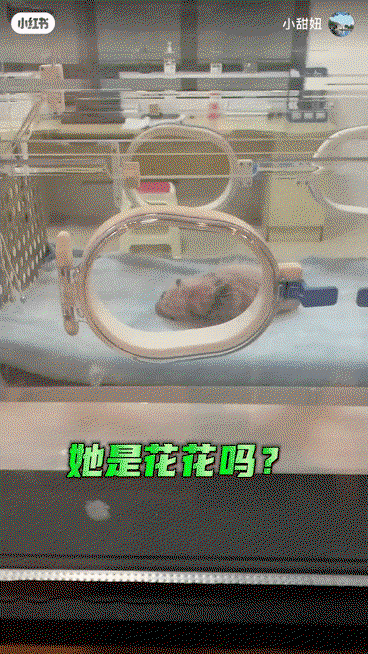 VHnLJX.gif