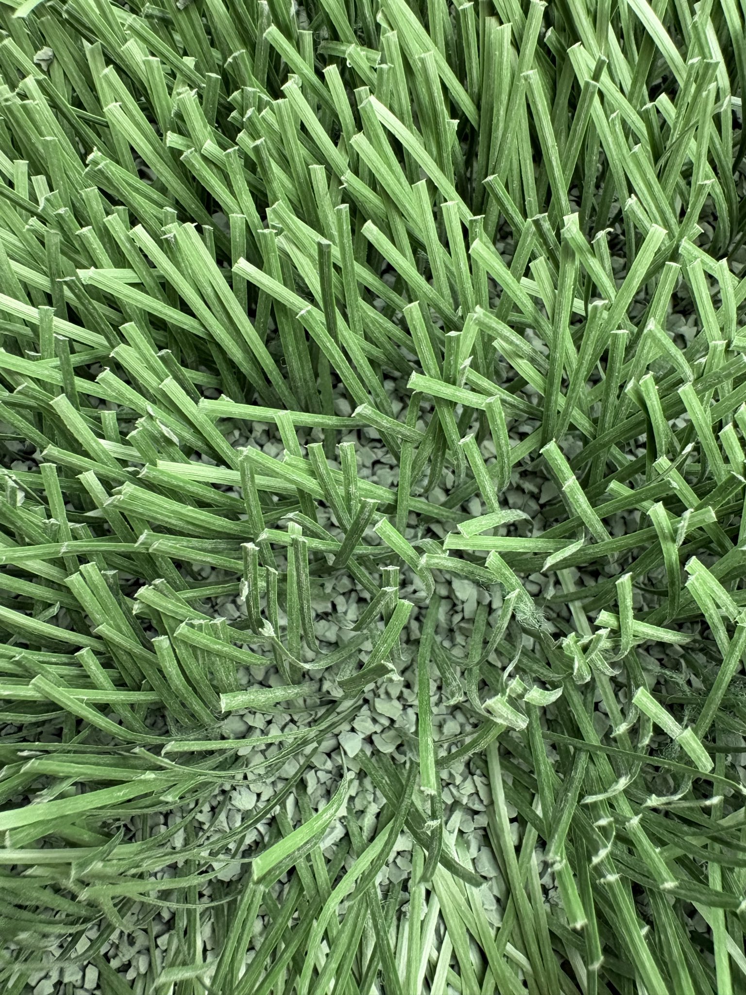 VITAFm