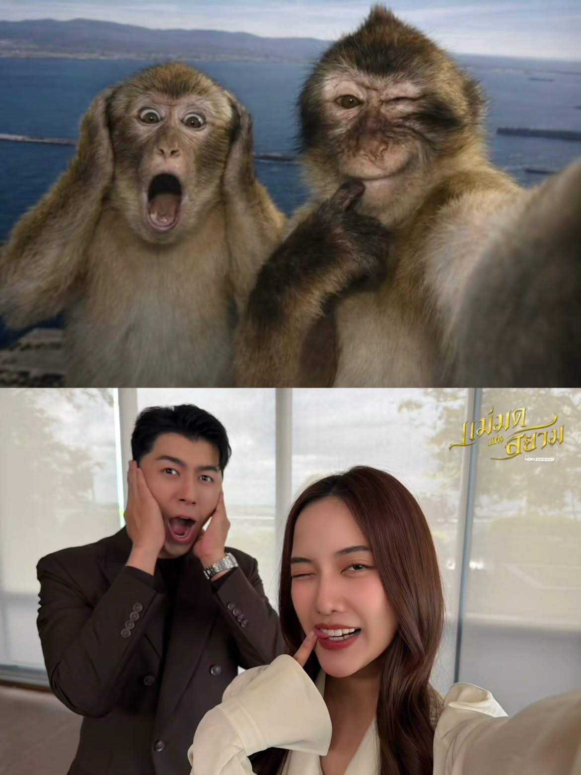 VIiKdI