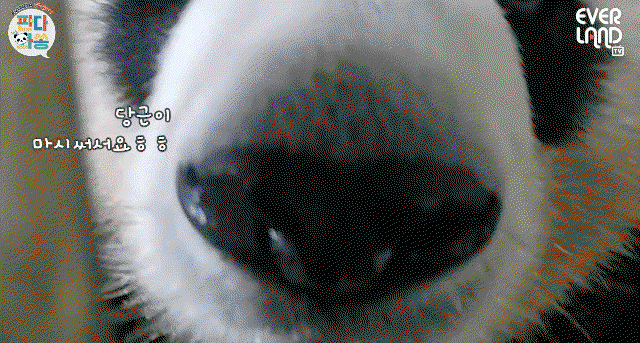 VIlGjW.gif