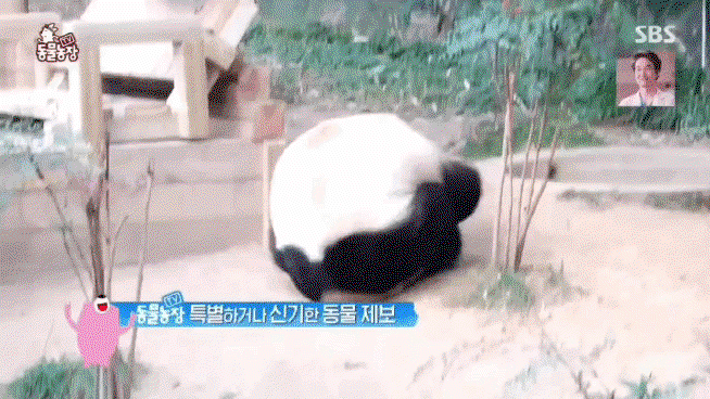 VIoFRi.gif