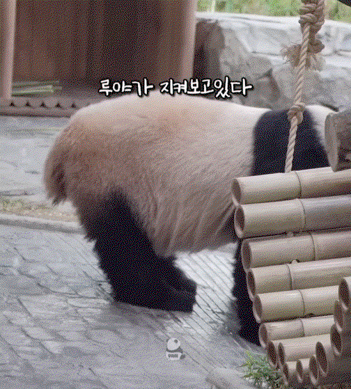 VMOtyQ.gif