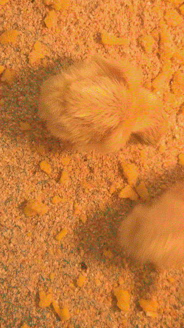 VMeWxp.gif