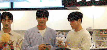 VNPBYa.gif