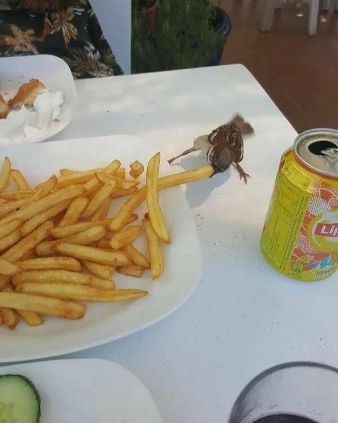 VNyfFj