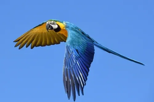 VOTSnJ
