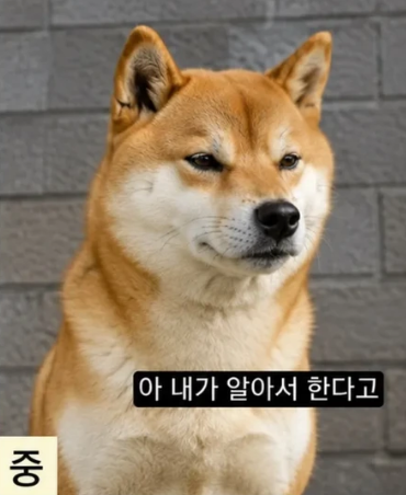 VPWgoT