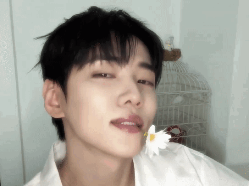 VRWvqu.gif