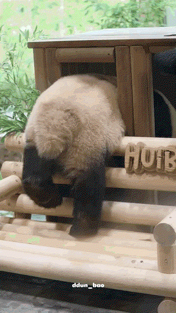 VUMAac.gif