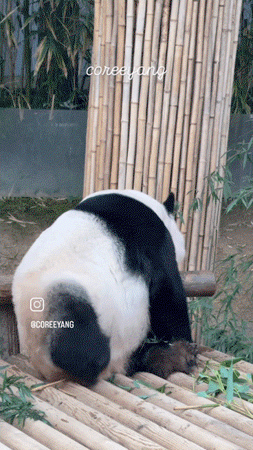 VUNDAr.gif