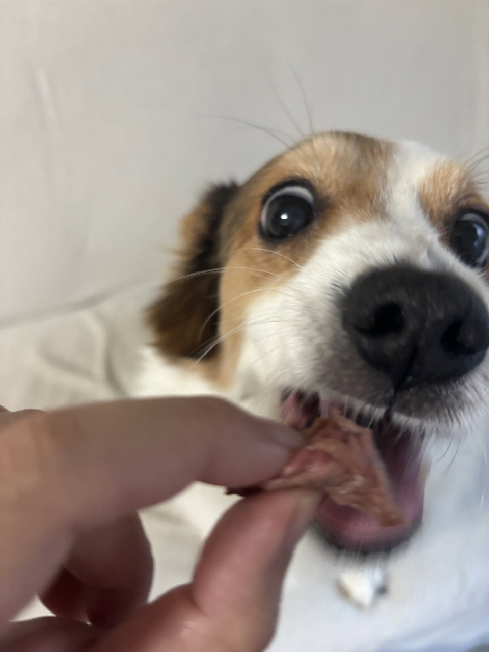 VUuMMF