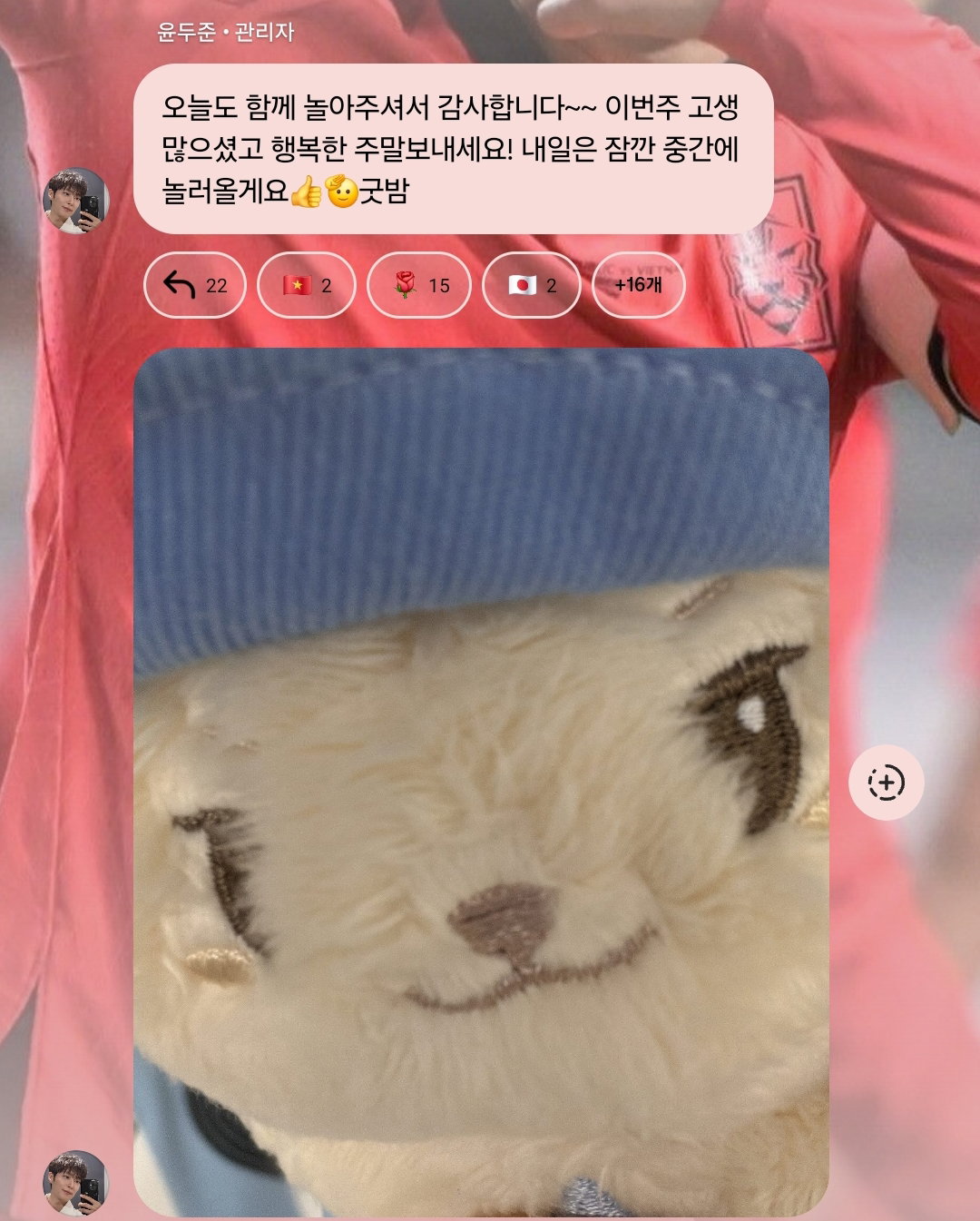 VVEPil