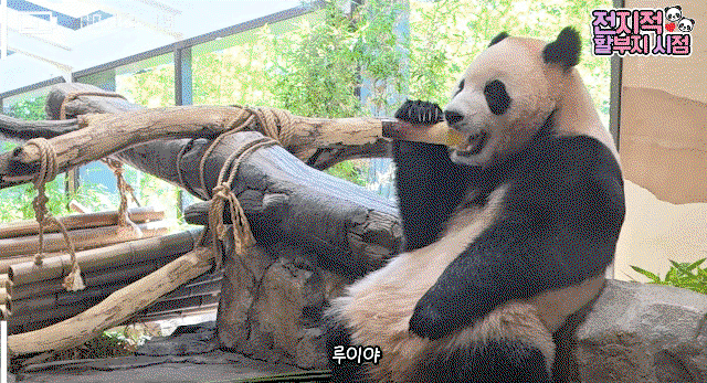 VYEBOS.gif