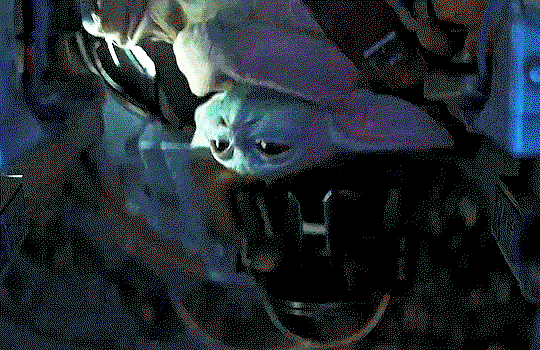 VYquIY.gif