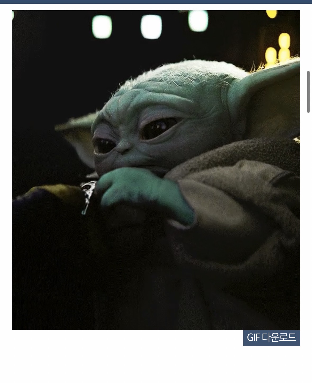 VZFRcL