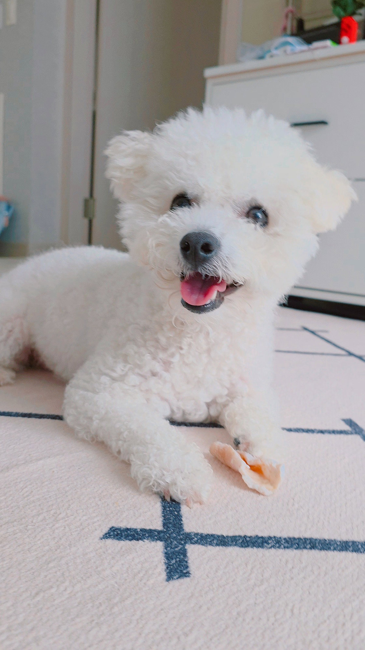 VaAWqT