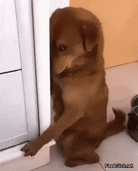 VaYsLj.gif