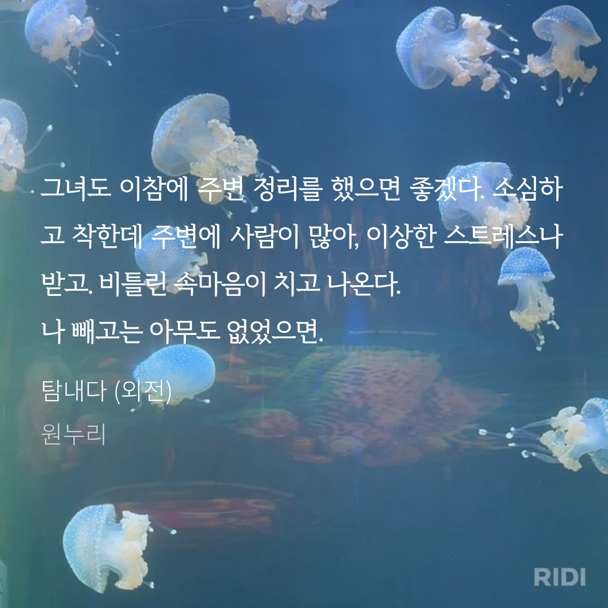 VbYFLK
