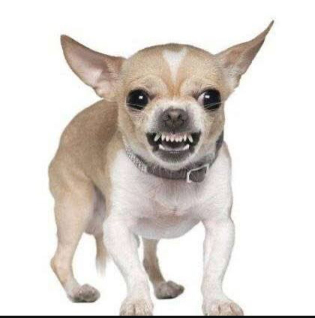 VbiyyD