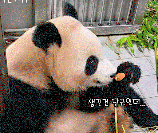 VcDFve.gif