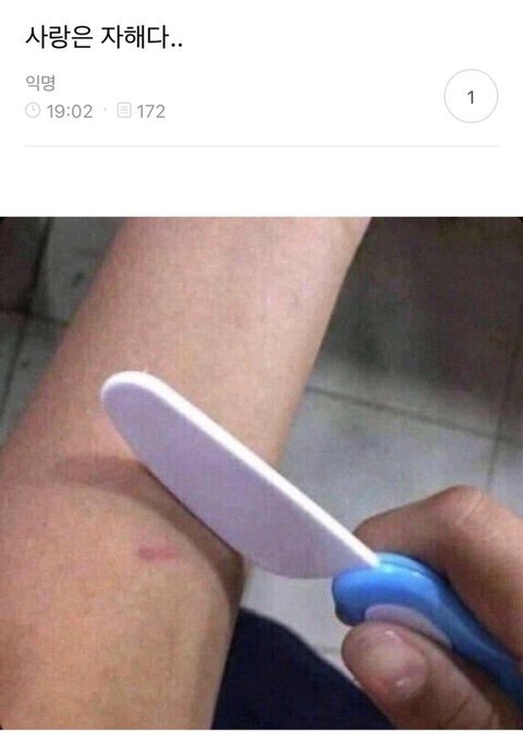 VdFSRR