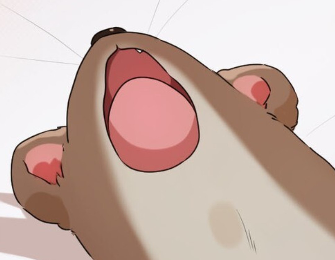 VdTbvB