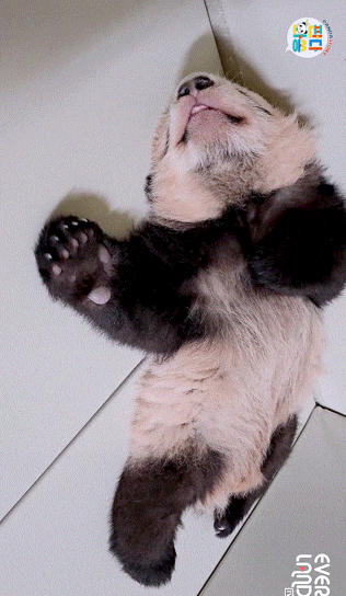 VhJczq.gif