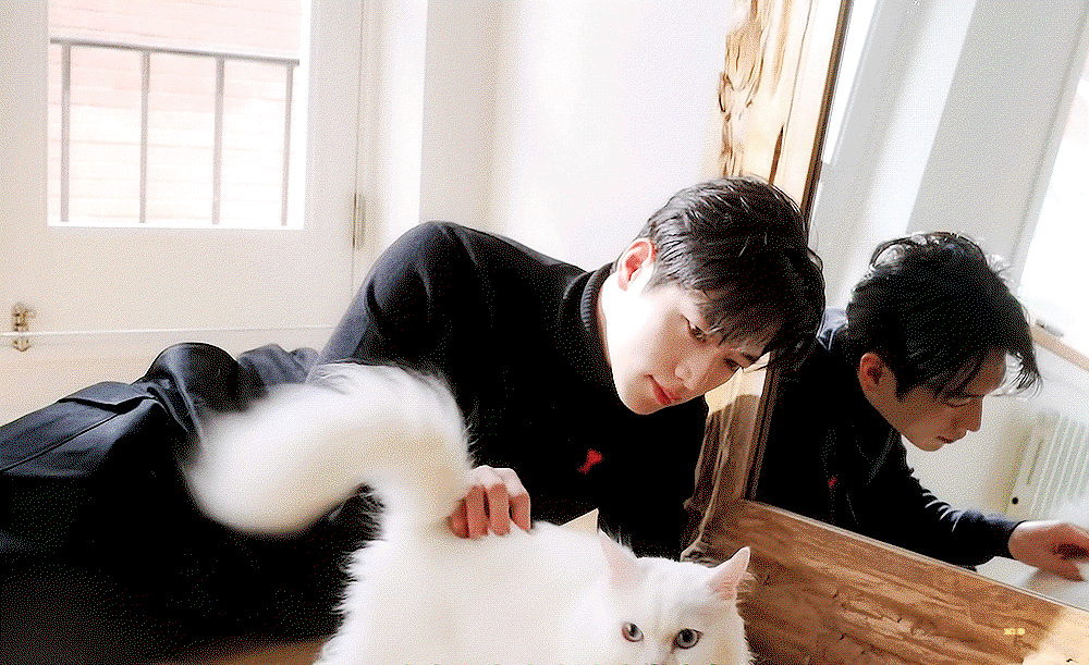 VhwYer.gif