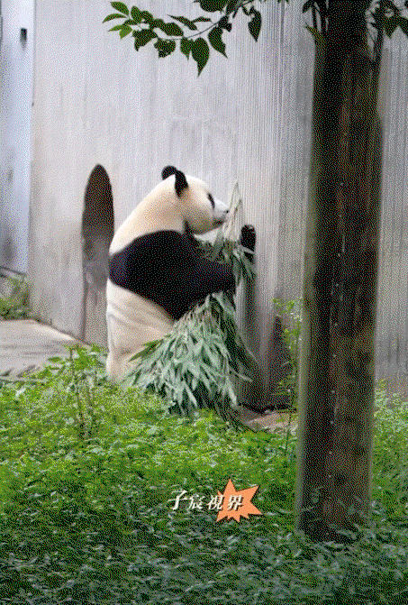 VjJQjm.gif