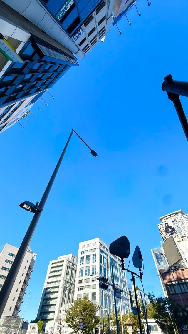 VnlREL