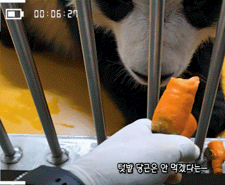 VpRZWt.gif