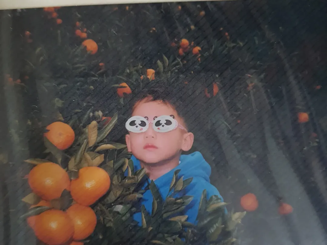VpXBvm