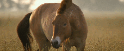 VpdHbM.gif