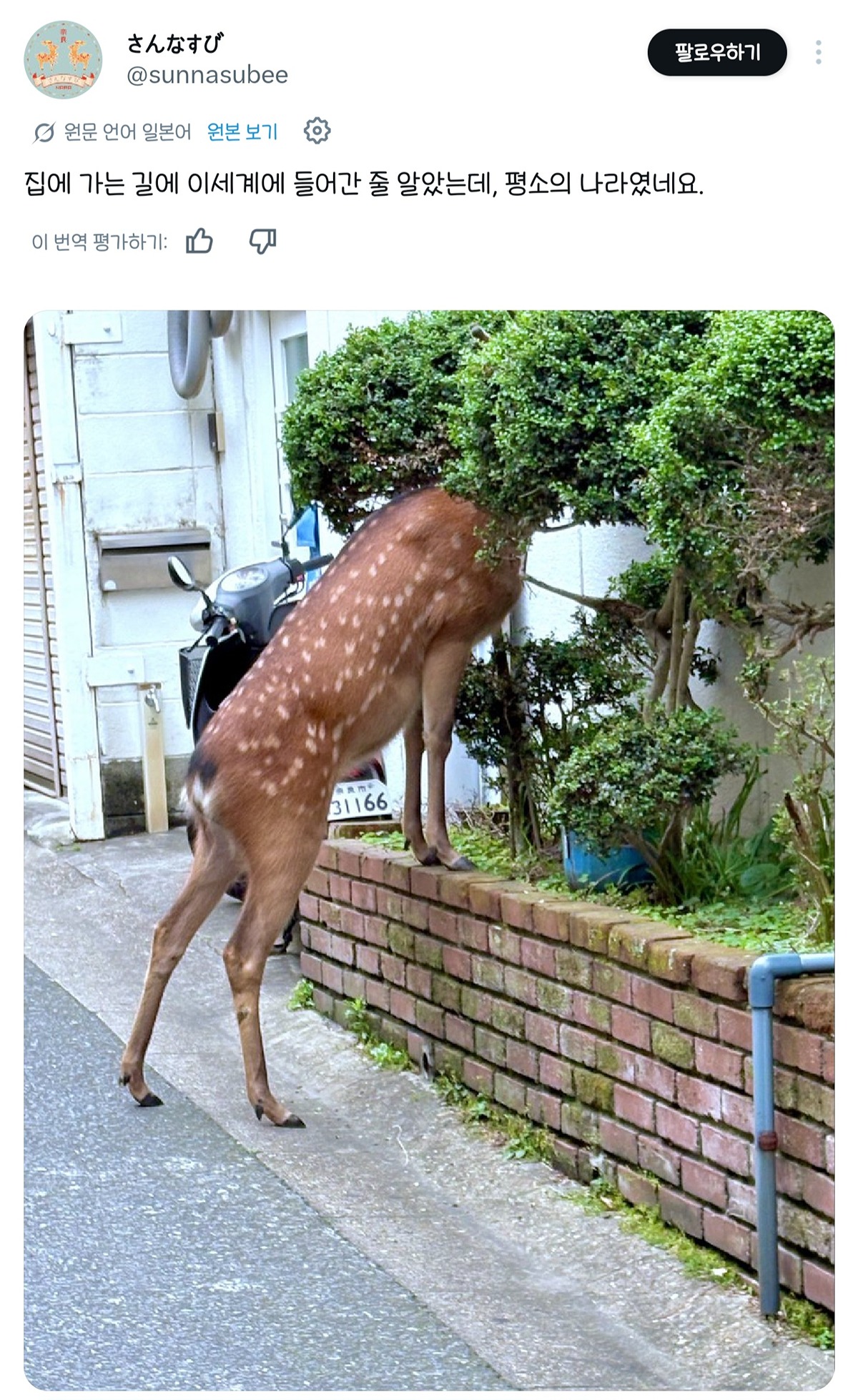 VposMm