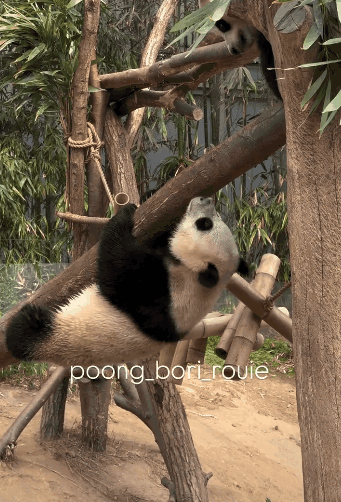 VtUClJ.gif