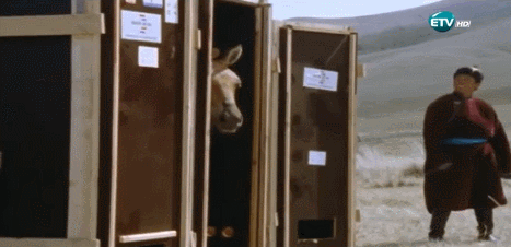 VwcYGy.gif