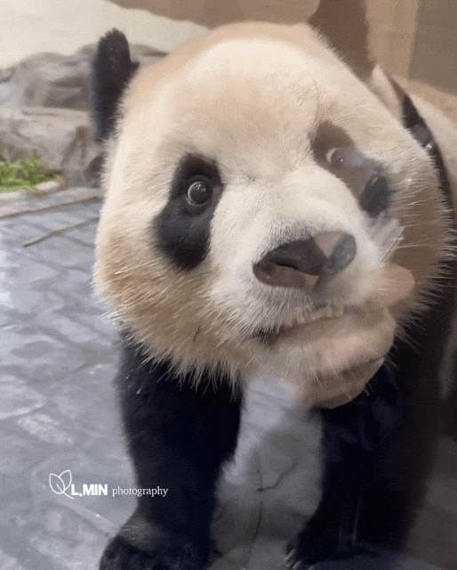 VyICBR.gif