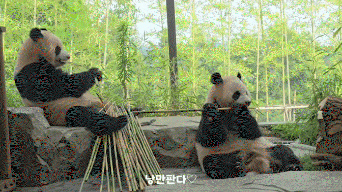 VyQfKW.gif