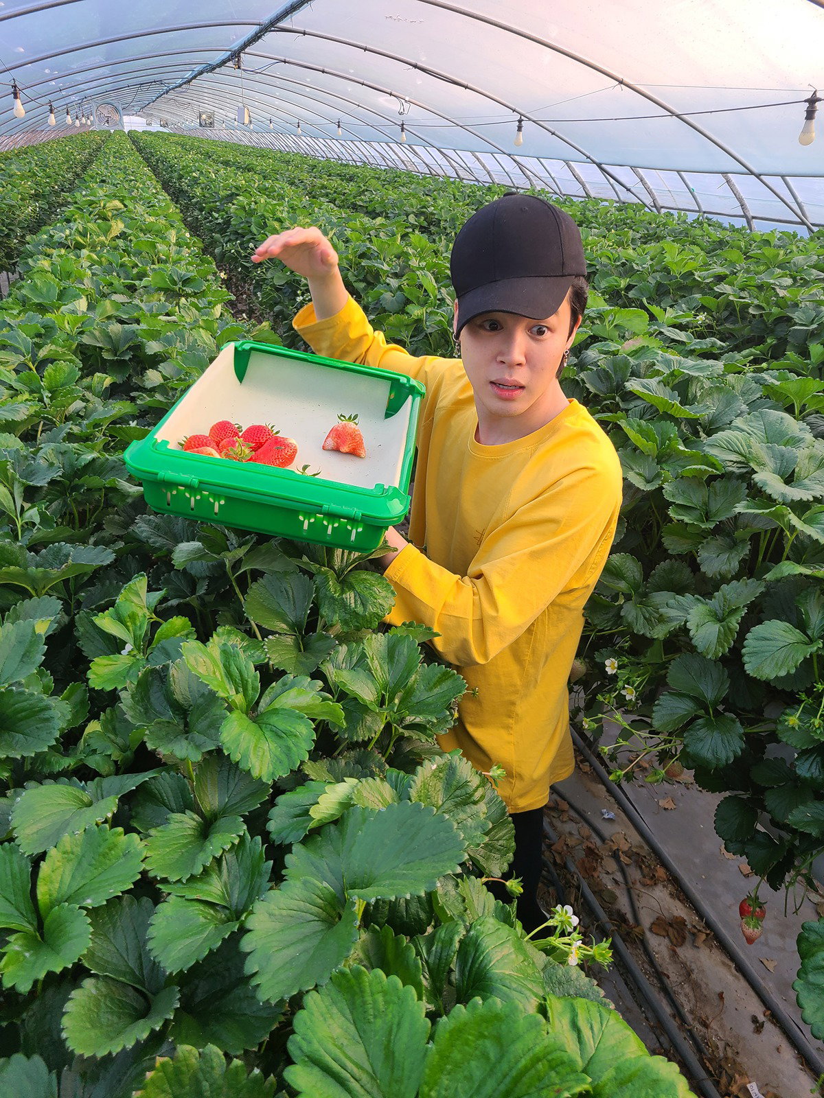 VzWrDo