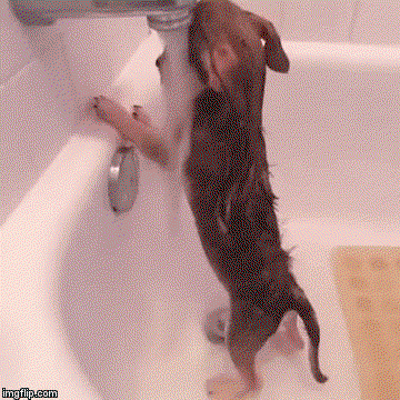WAQbRW.gif