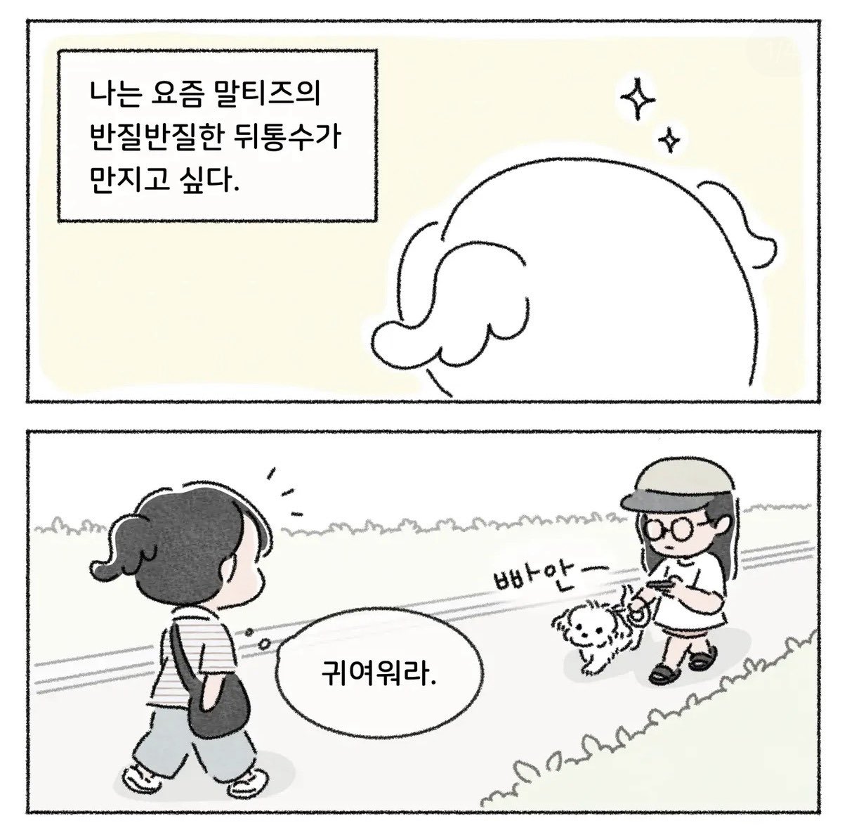 WCdudP