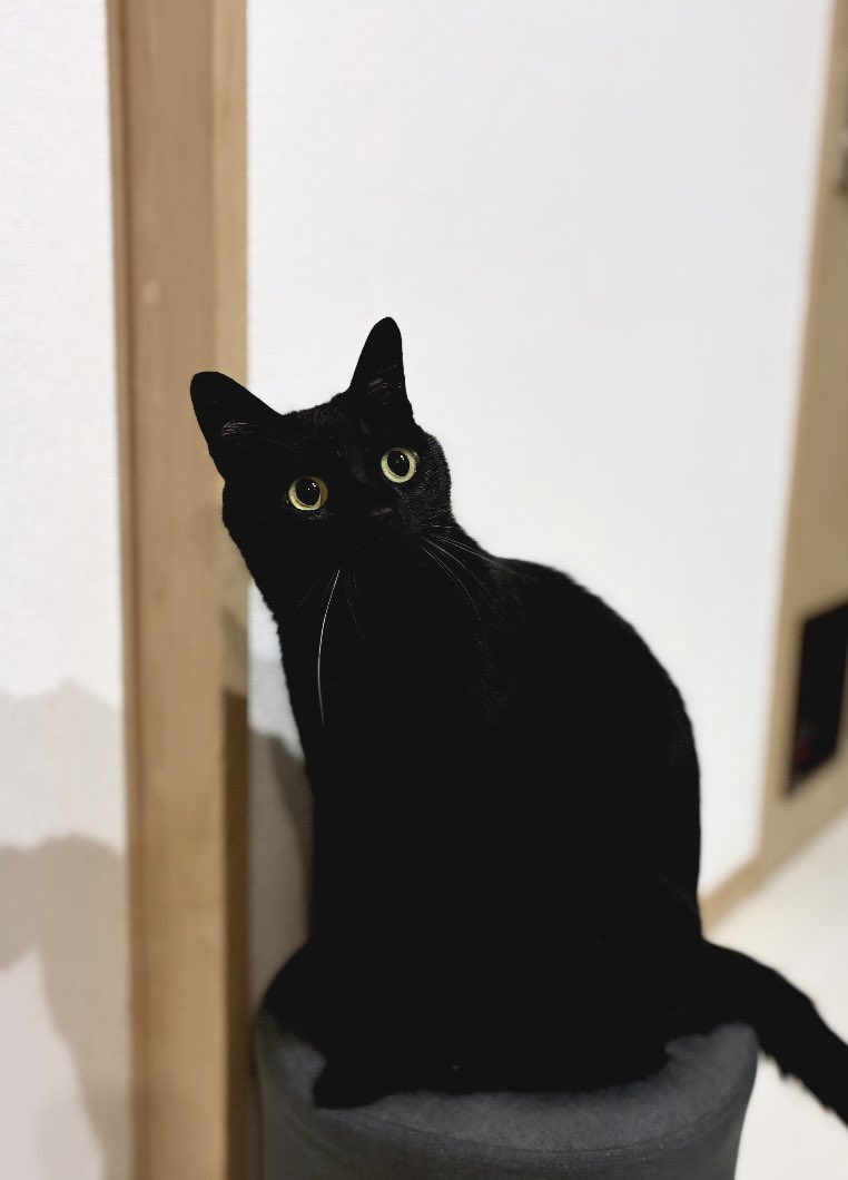 WDNWvO