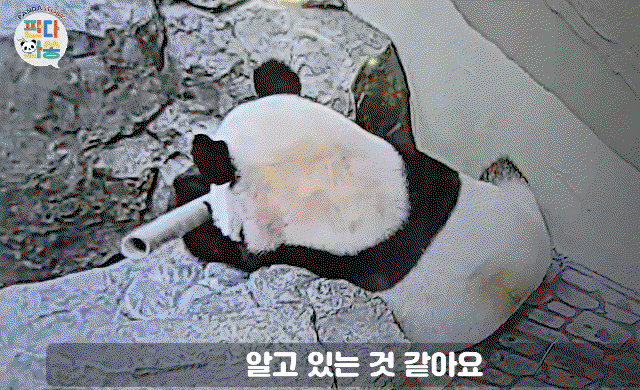 WFVPNO.gif
