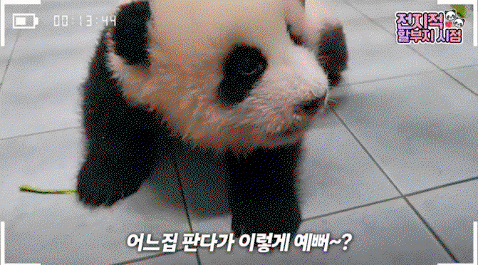 WHeKYU.gif