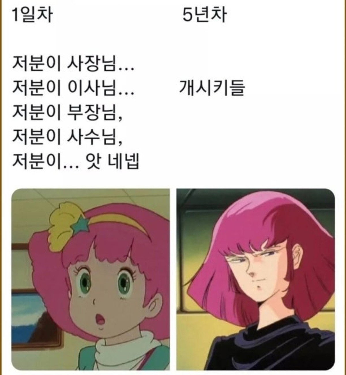 WIcSDM