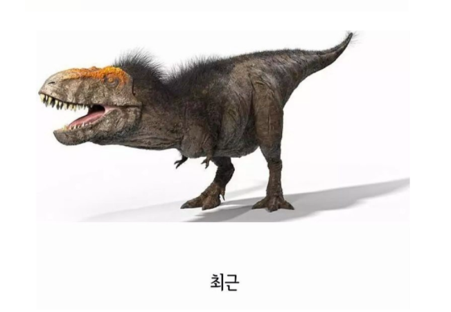 WJDoqD