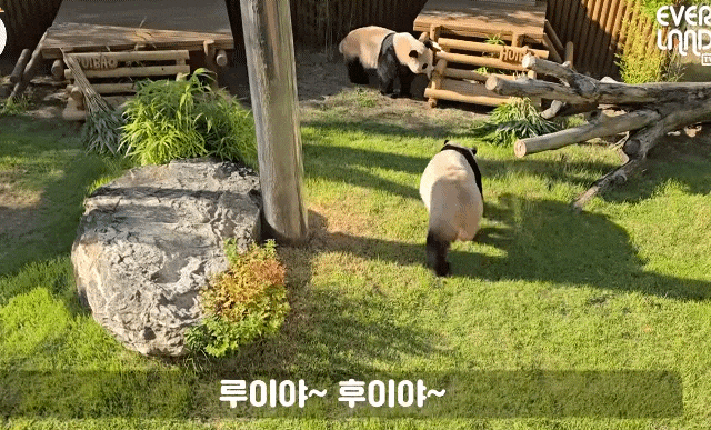 WJiHJe.gif