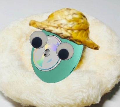 WKbqDB