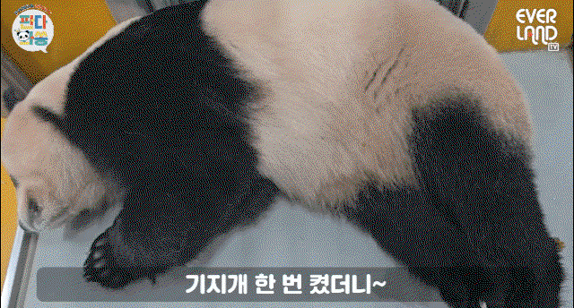 WLEIoA.gif