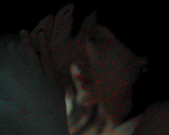 WLlaAT.gif